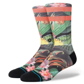 Calcetines Stance: Playa Larga (Multi)